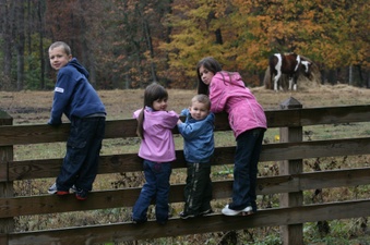 Enlarge photo 171