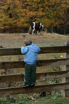 Enlarge photo 170