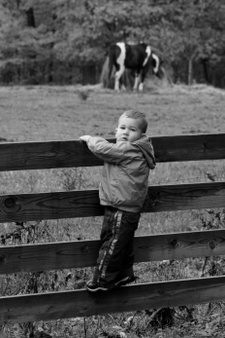 Enlarge photo 169
