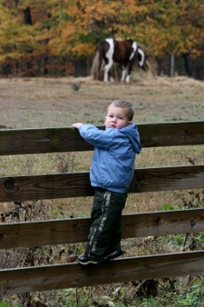 Enlarge photo 168