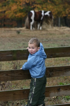 Enlarge photo 167