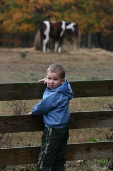Enlarge photo 166