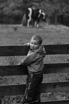 Enlarge photo 165