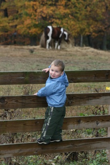 Enlarge photo 163