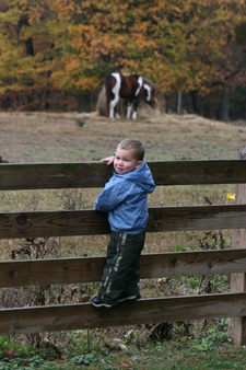 Enlarge photo 161