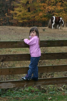 Enlarge photo 152
