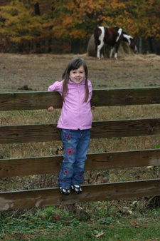 Enlarge photo 150