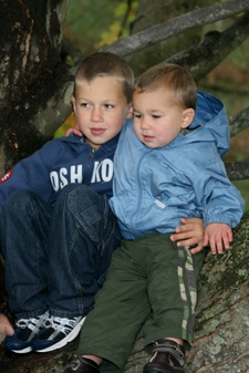 Enlarge photo 141