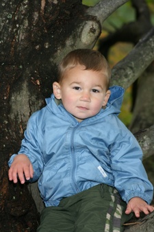 Enlarge photo 132
