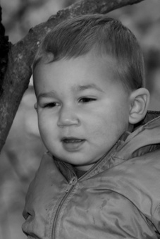 Enlarge photo 130