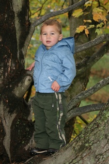 Enlarge photo 126