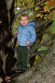 Enlarge photo 125
