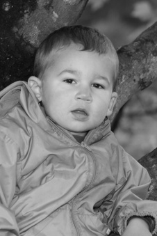 Enlarge photo 102