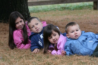 Enlarge photo 73