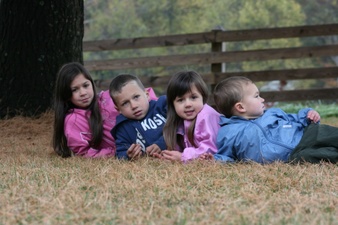 Enlarge photo 70