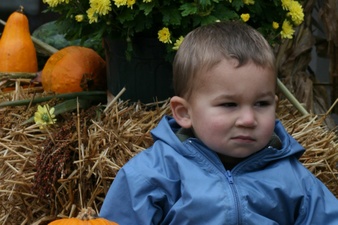 Enlarge photo 52