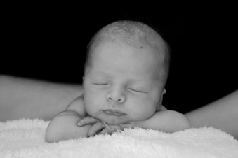 Enlarge photo 122