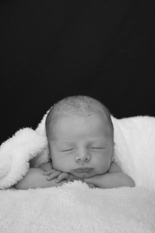 Enlarge photo 134