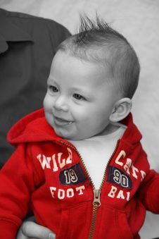 Enlarge photo 64