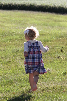 Enlarge photo 229