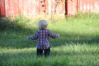 Enlarge photo 283