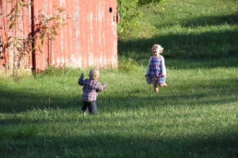 Enlarge photo 285