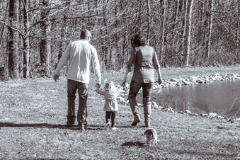 Enlarge photo 219