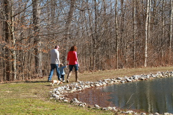 Enlarge photo 229