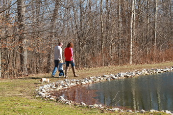 Enlarge photo 231