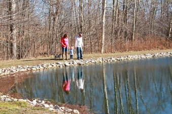 Enlarge photo 237