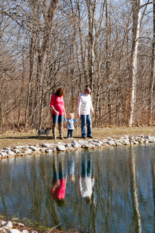 Enlarge photo 238