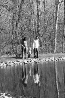Enlarge photo 239