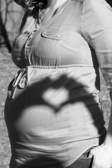 Enlarge photo 395