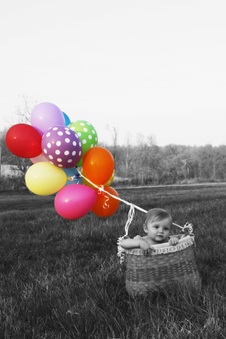 Enlarge photo 111