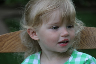 Enlarge photo 87