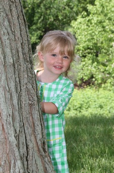 Enlarge photo 151