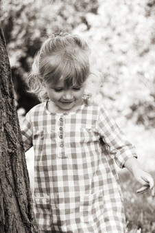 Enlarge photo 153