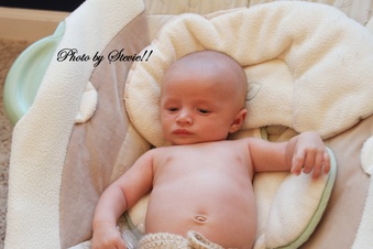 Enlarge photo 51