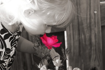 Enlarge photo 75