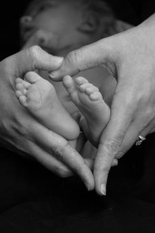 Enlarge photo 36