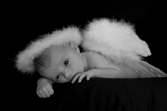 Enlarge photo 72