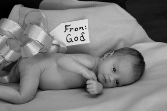 Enlarge photo 133