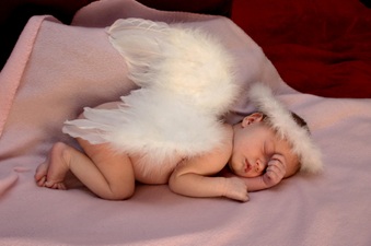 Enlarge photo 154