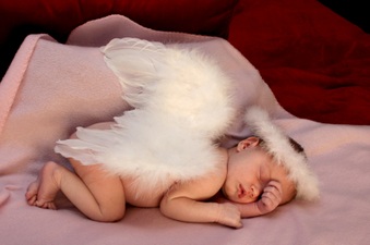 Enlarge photo 155