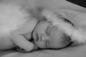 Enlarge photo 157