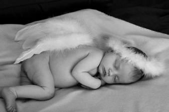 Enlarge photo 159