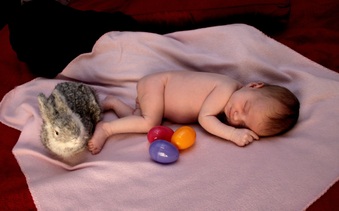 Enlarge photo 162