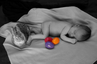 Enlarge photo 163