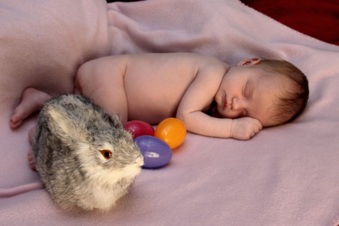 Enlarge photo 164