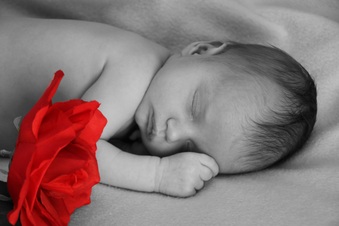 Enlarge photo 170
